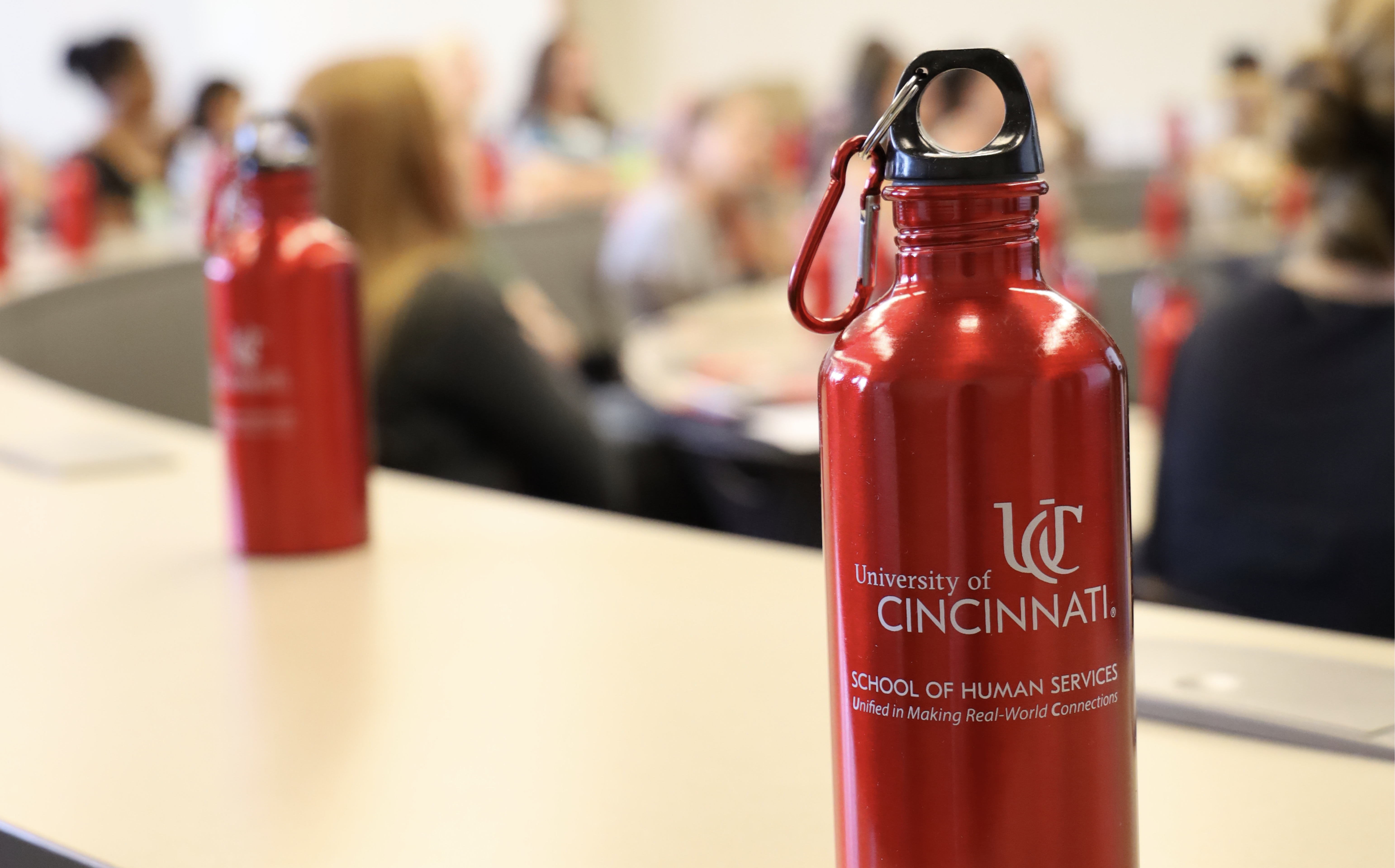 Real World Connections